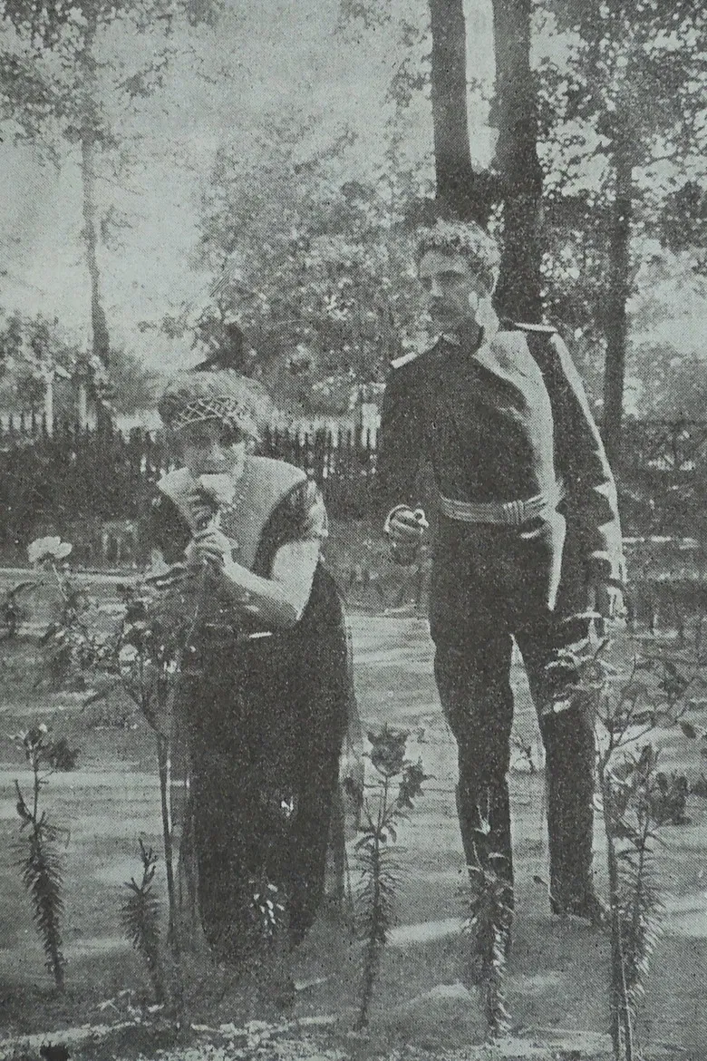 In The Nets of German Espionage poster background