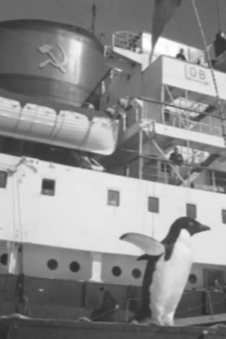 The White Land of Enderby poster background