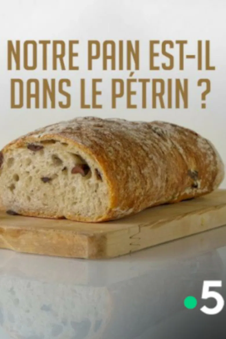 Notre pain est-il dans le pétrin ? poster background