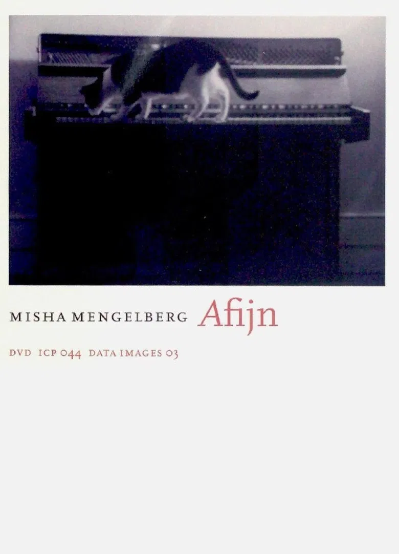 AFIJN (Misha Mengelberg) poster background