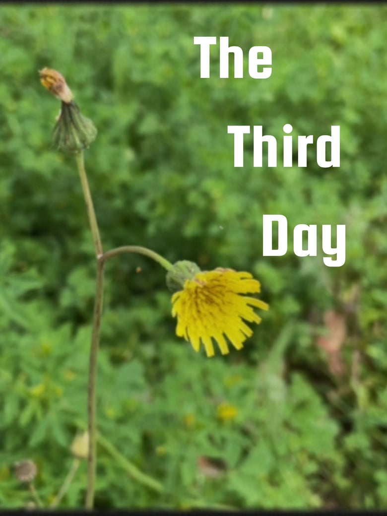The Third Day poster background