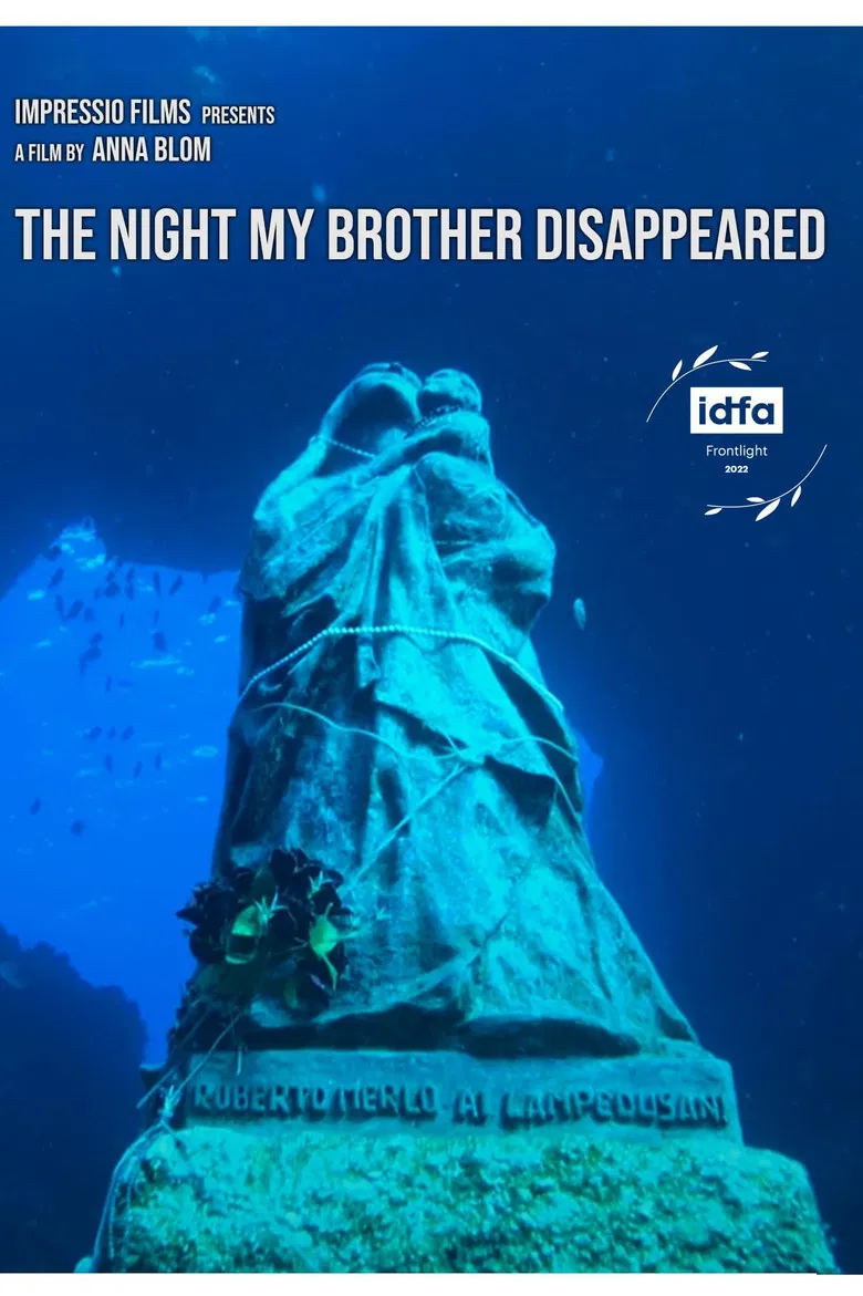 The Night My Brother Disappeared poster background
