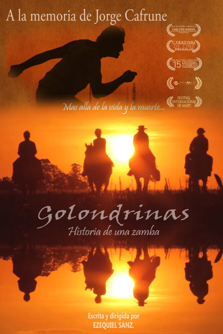 Golondrinas, historia de una zamba poster background