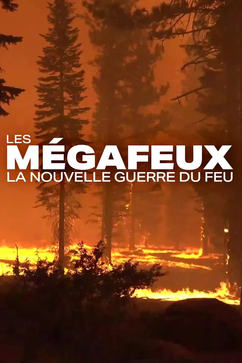 Les Mégafeux, la nouvelle guerre du feu poster background