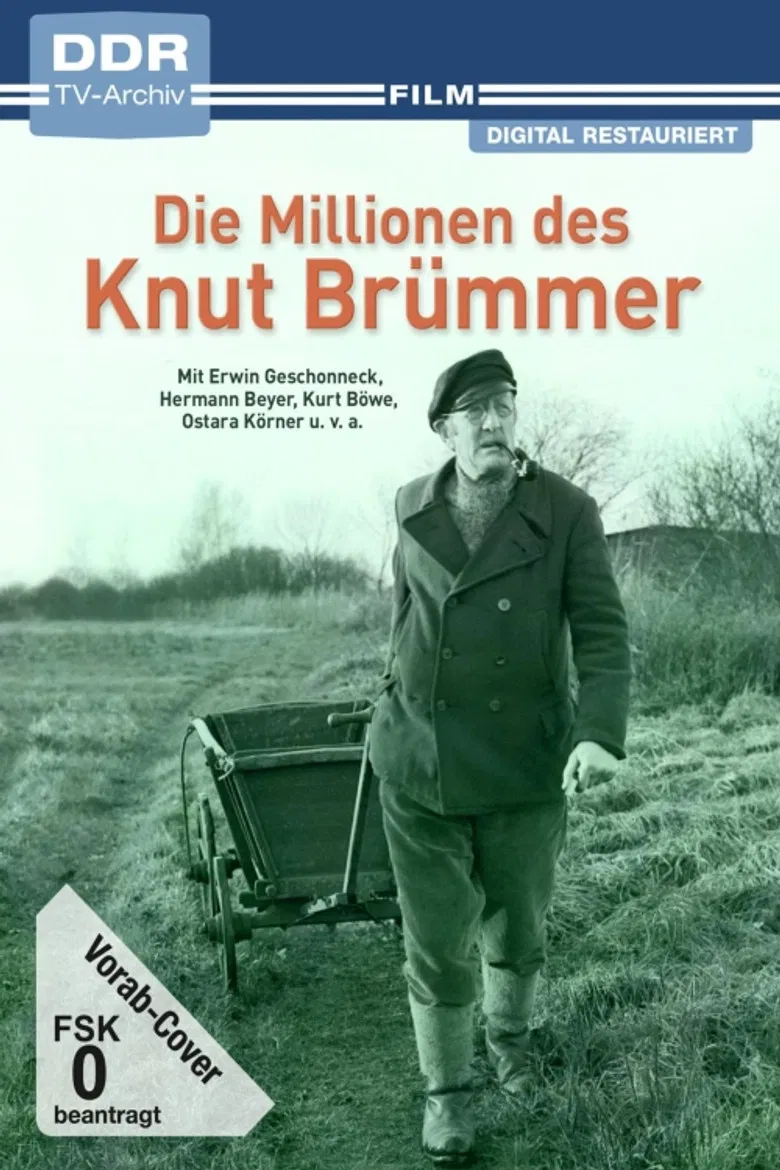 Die Millionen des Knut Brümmer poster background