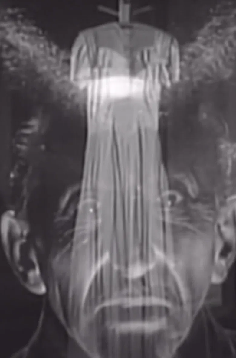 Glen or Glenda Forwards and Backwards poster background