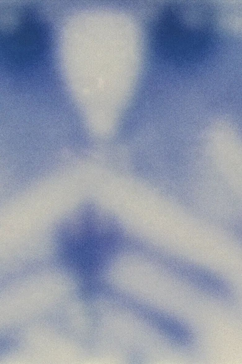 untitled (camera roll) poster background