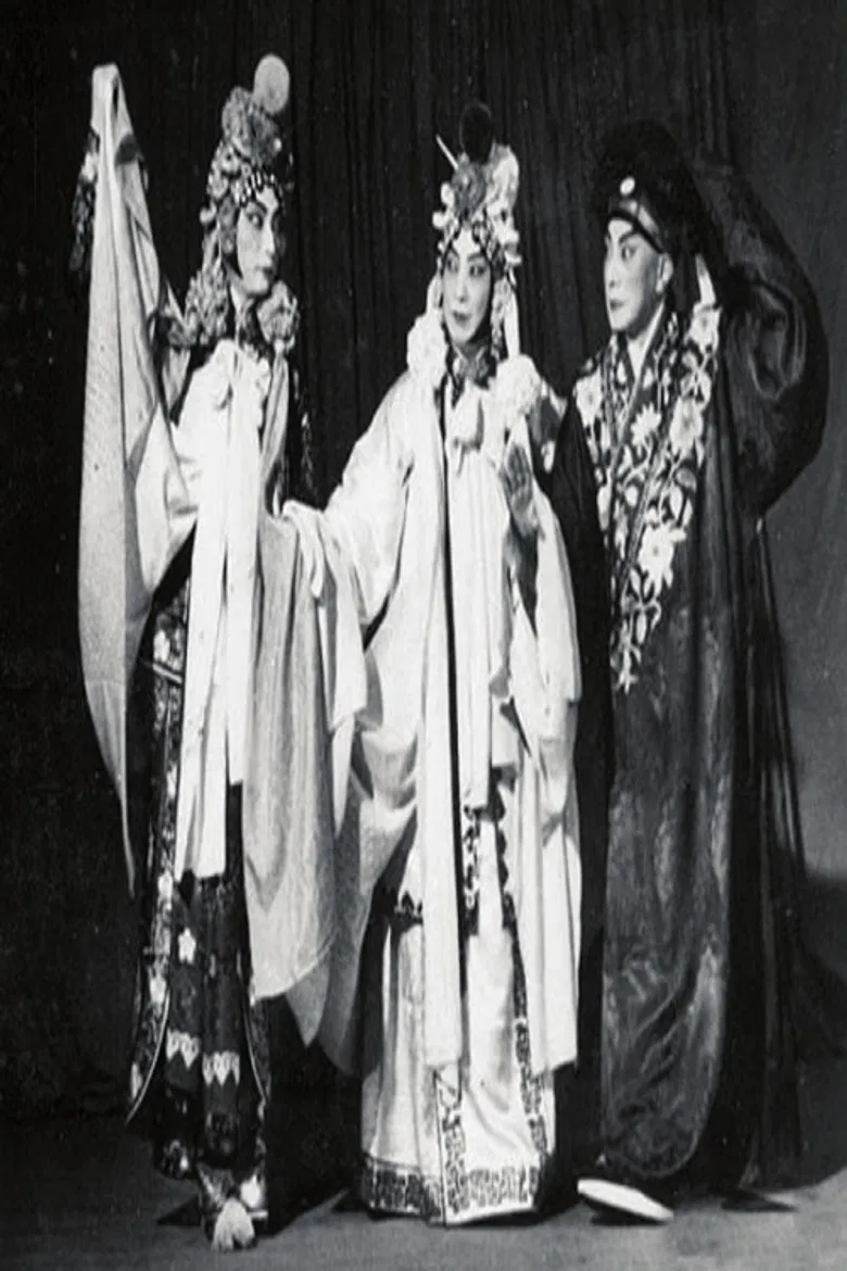 白蛇传-断桥 poster background