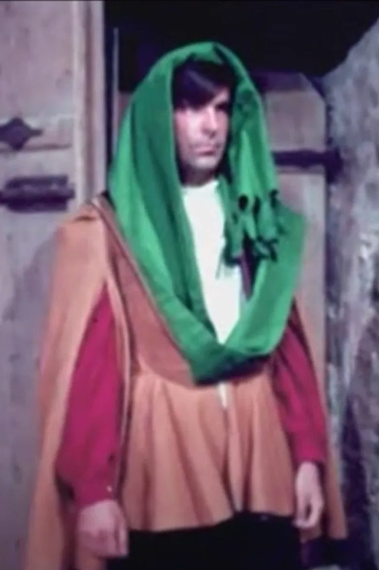 Life in a Medieval Town poster background