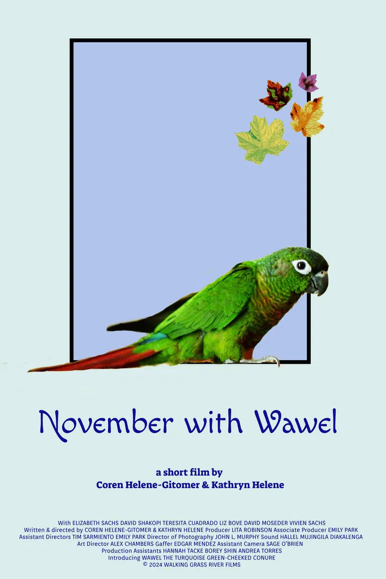 November with Wawel poster background