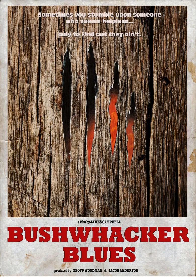 Bushwhacker Blues poster background