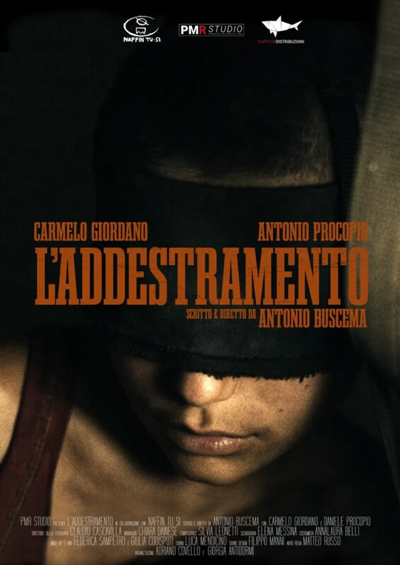 L'addestramento poster background