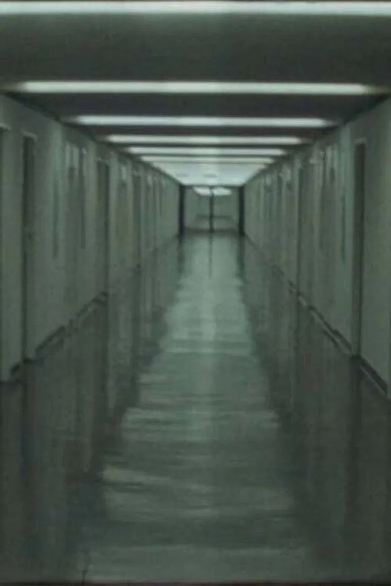 Corbusierhaus poster background