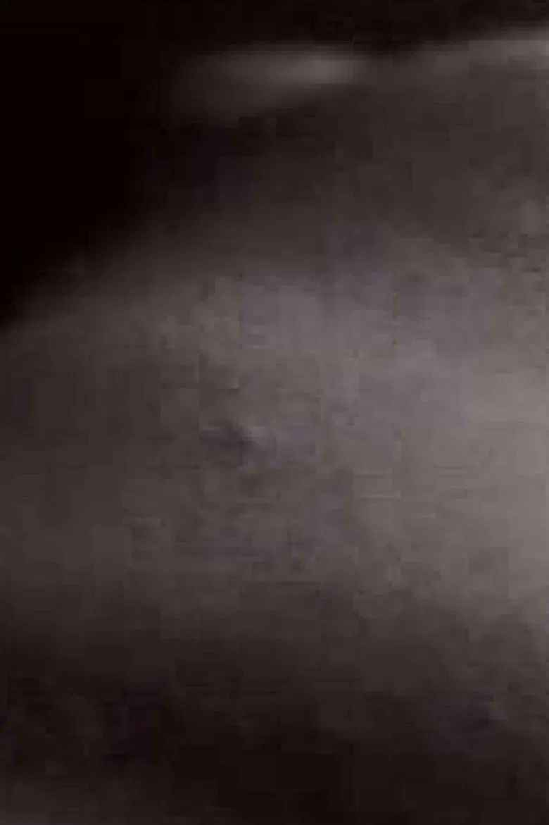 Fleshfilm poster background