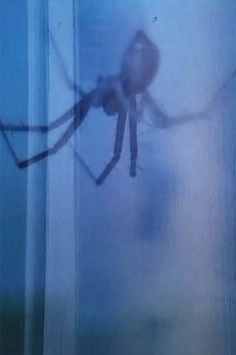 Flora & Fauna poster background