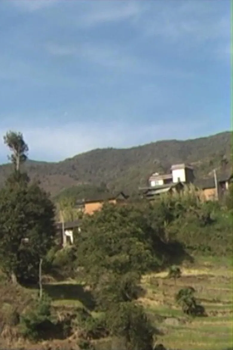 Huamulin 2012 poster background