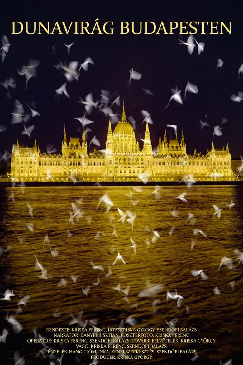 Dunavirág Budapesten poster background