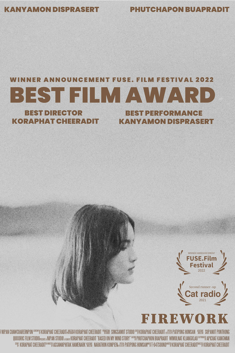 Firework poster background