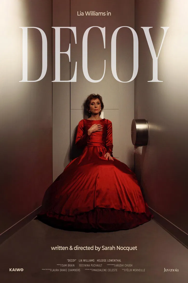 Decoy poster background