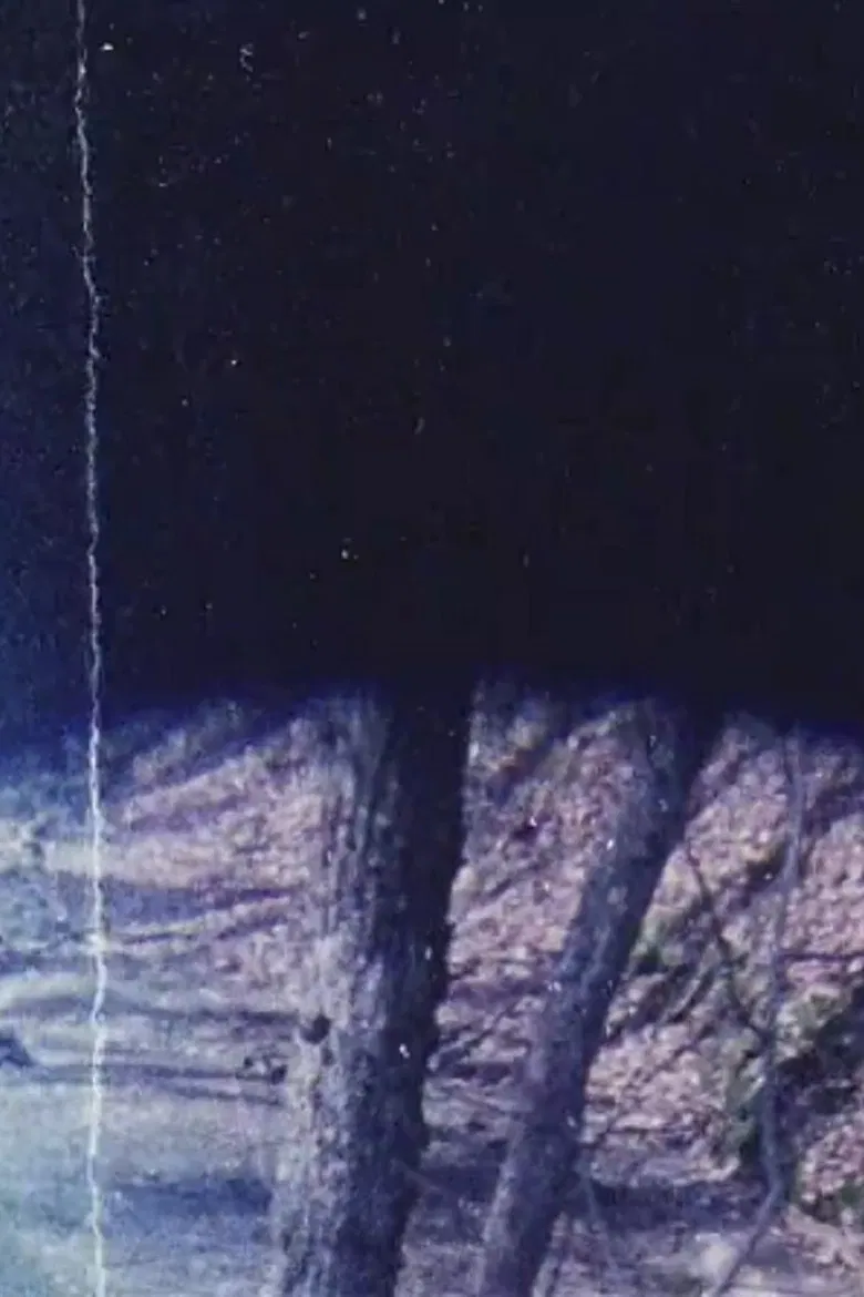 untitled (I) poster background