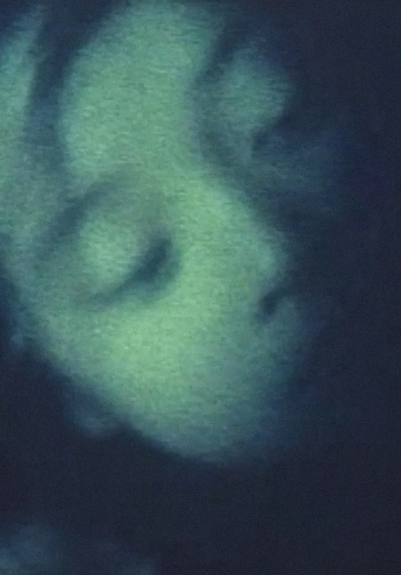 Dog's Ornaments poster background