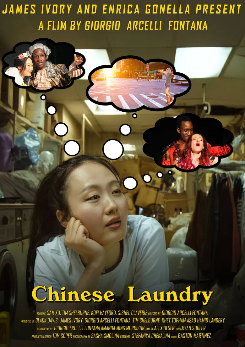 Chinese Laundry poster background