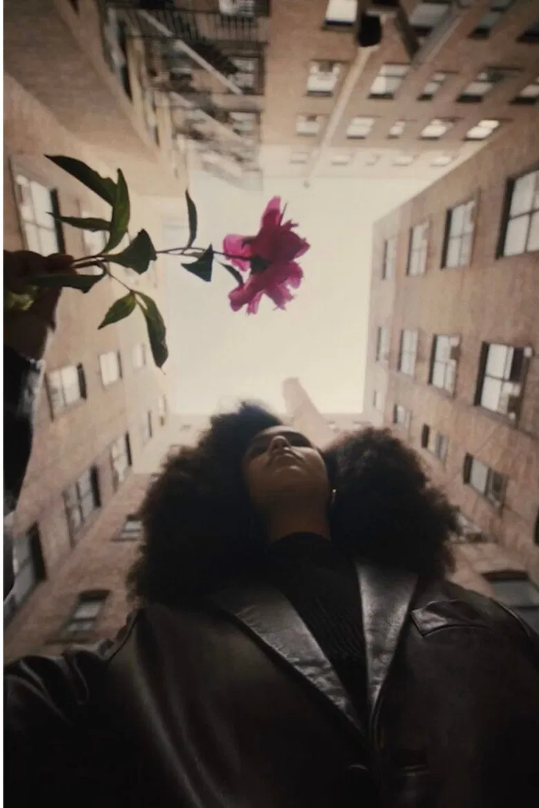 The Young Lordes Collective poster background