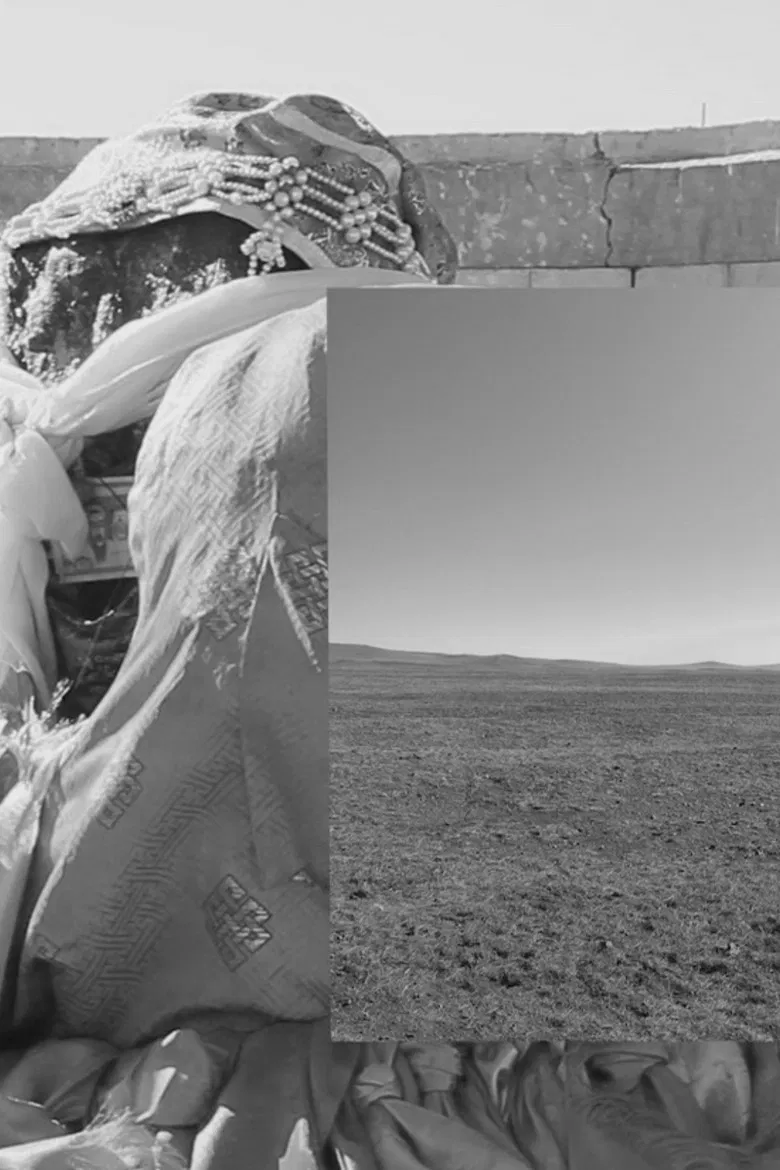 Petrogenesis, Petra Genetrix poster background