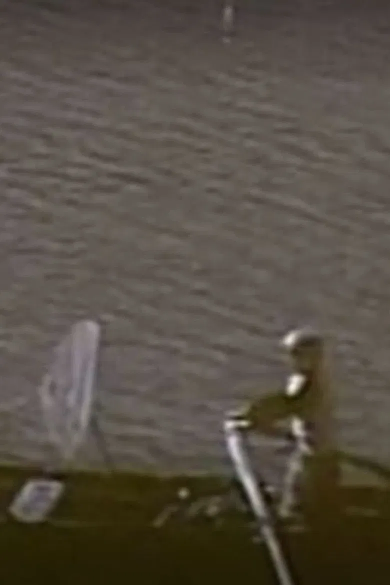 Prespes poster background