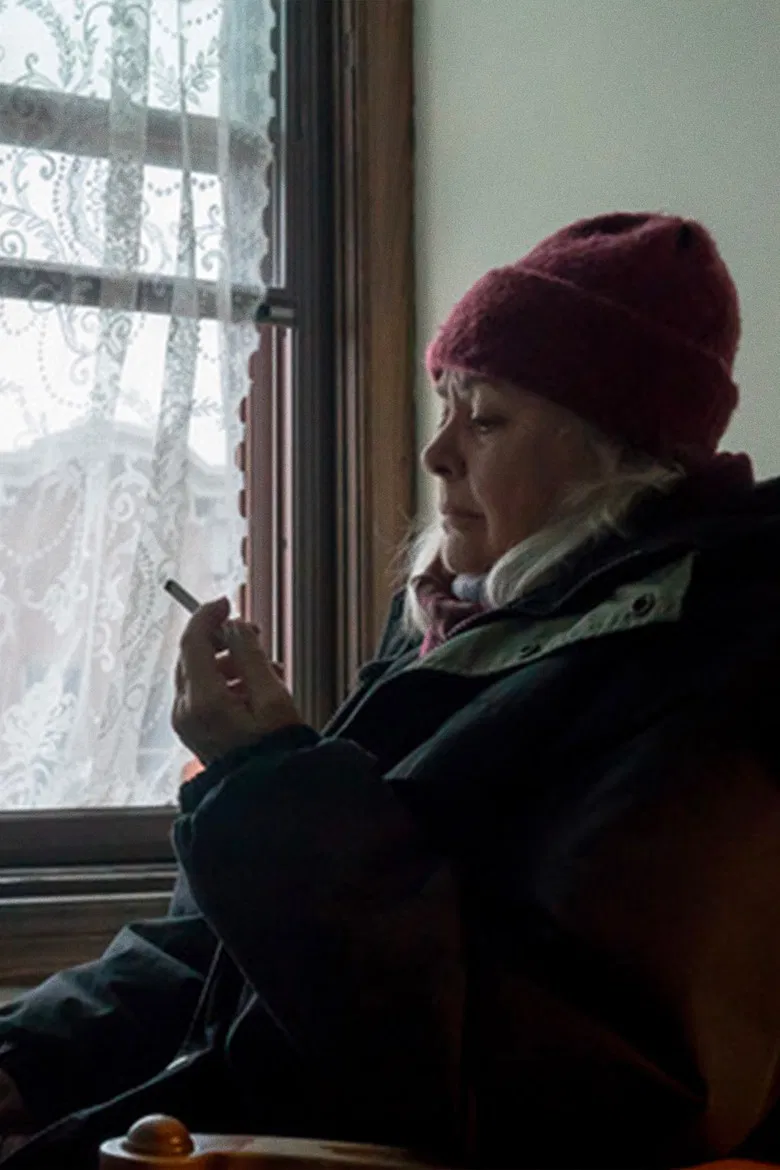 The Cold poster background