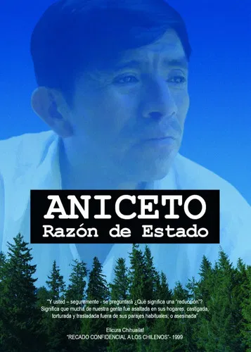 Aniceto, razón de Estado poster background