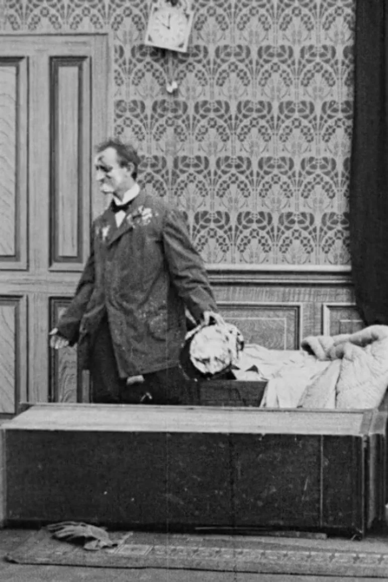 Mr. Fabian Going Out for a Picnic poster background