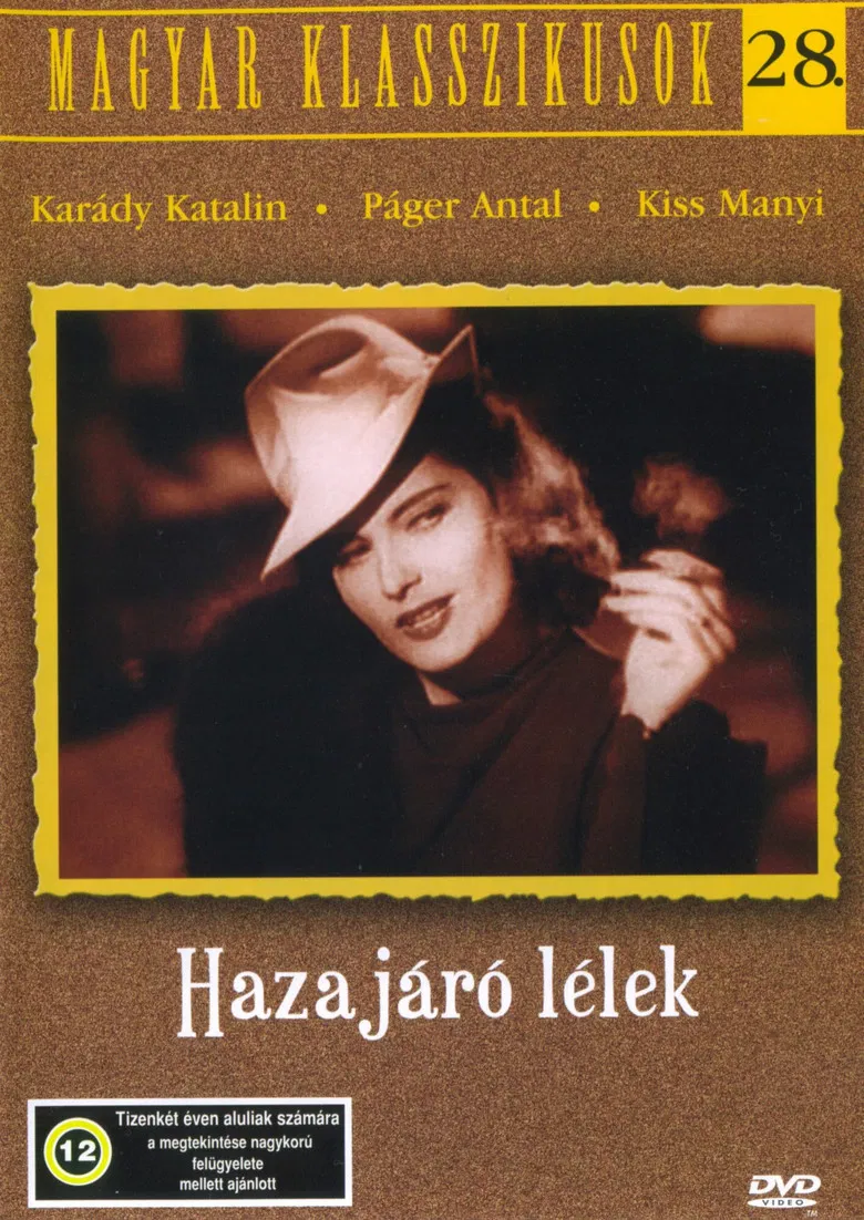 Hazajáró lélek poster background