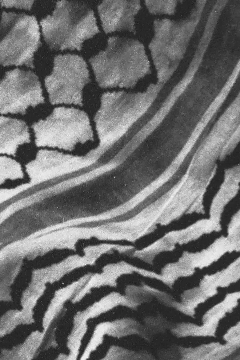 The City and Her Stones poster background