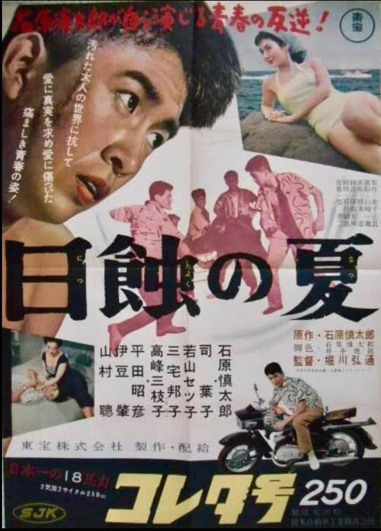 Summer in Eclipse poster background