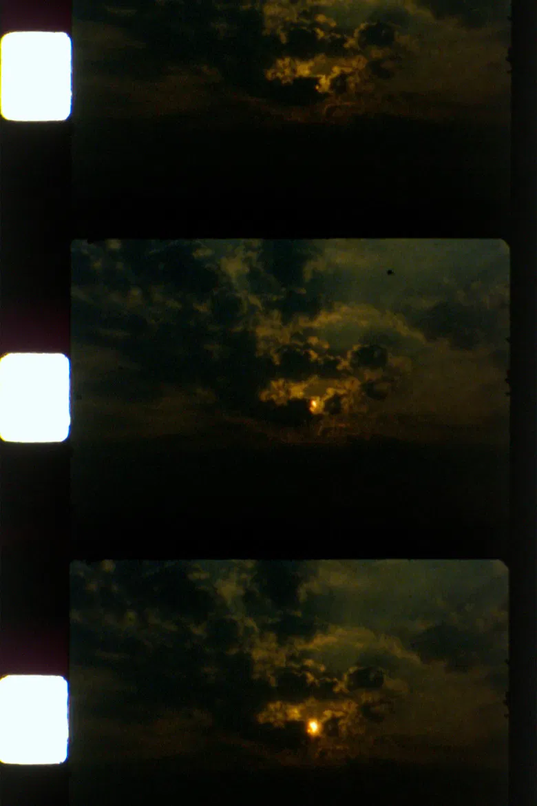 tendril and spray poster background