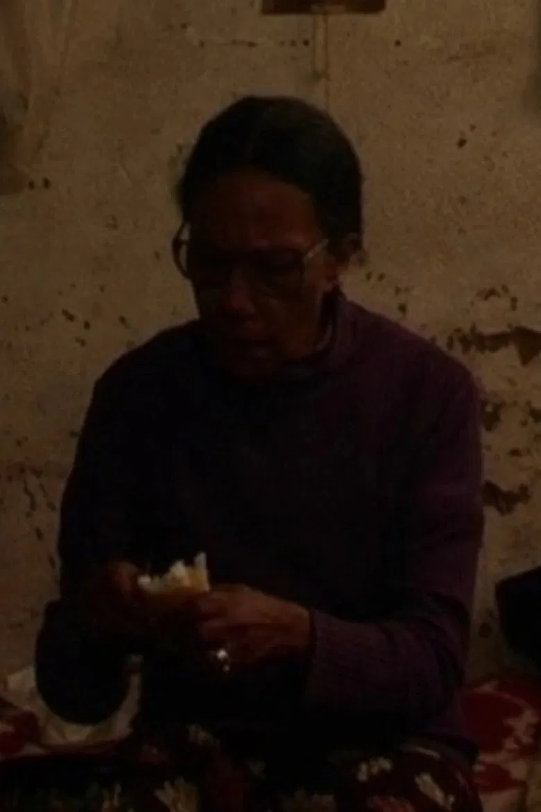 L. Ville poster background