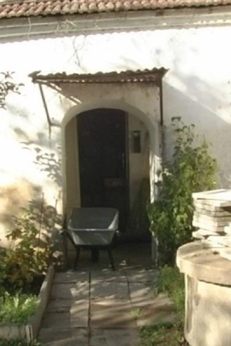 Viewing poster background