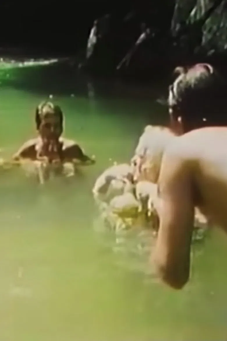 Sinfonia do Alto Ribeira poster background