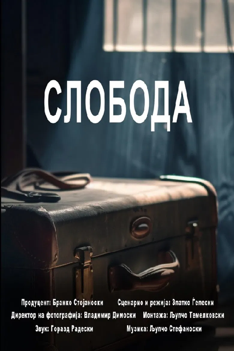 Freedom poster background