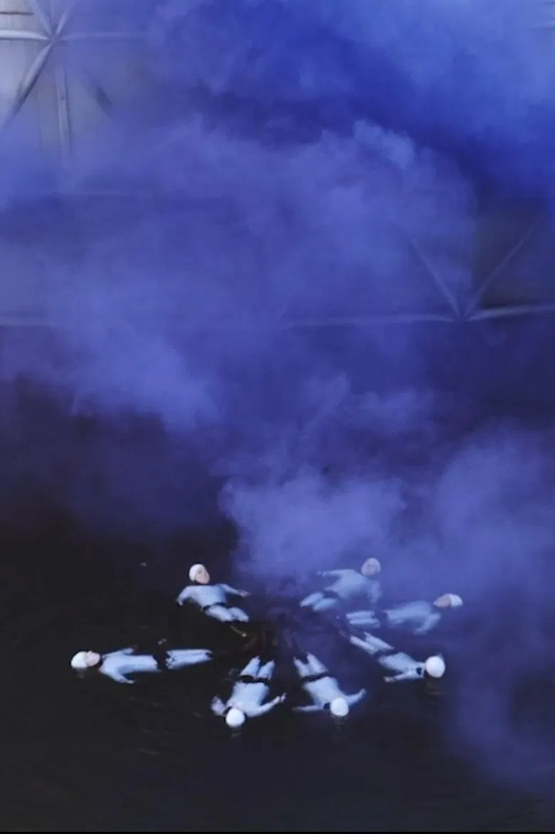 Pleasure Prospects poster background