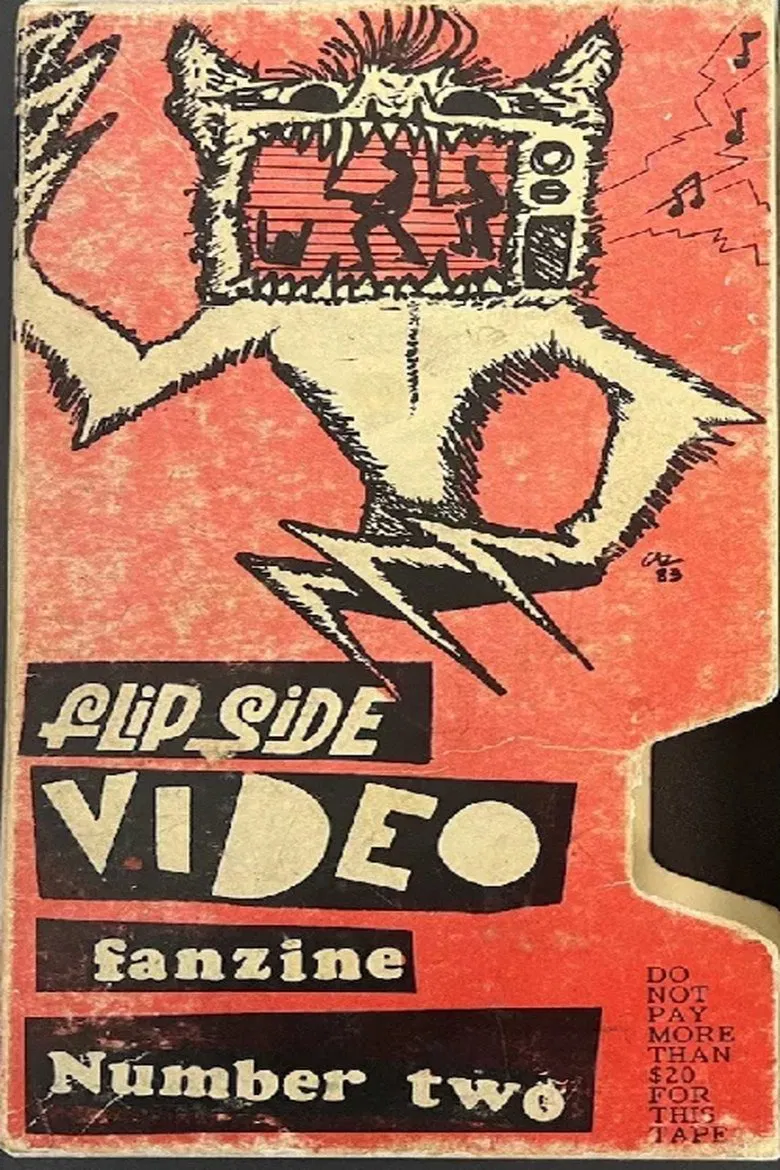 Flipside Video Fanzine Number Two poster background