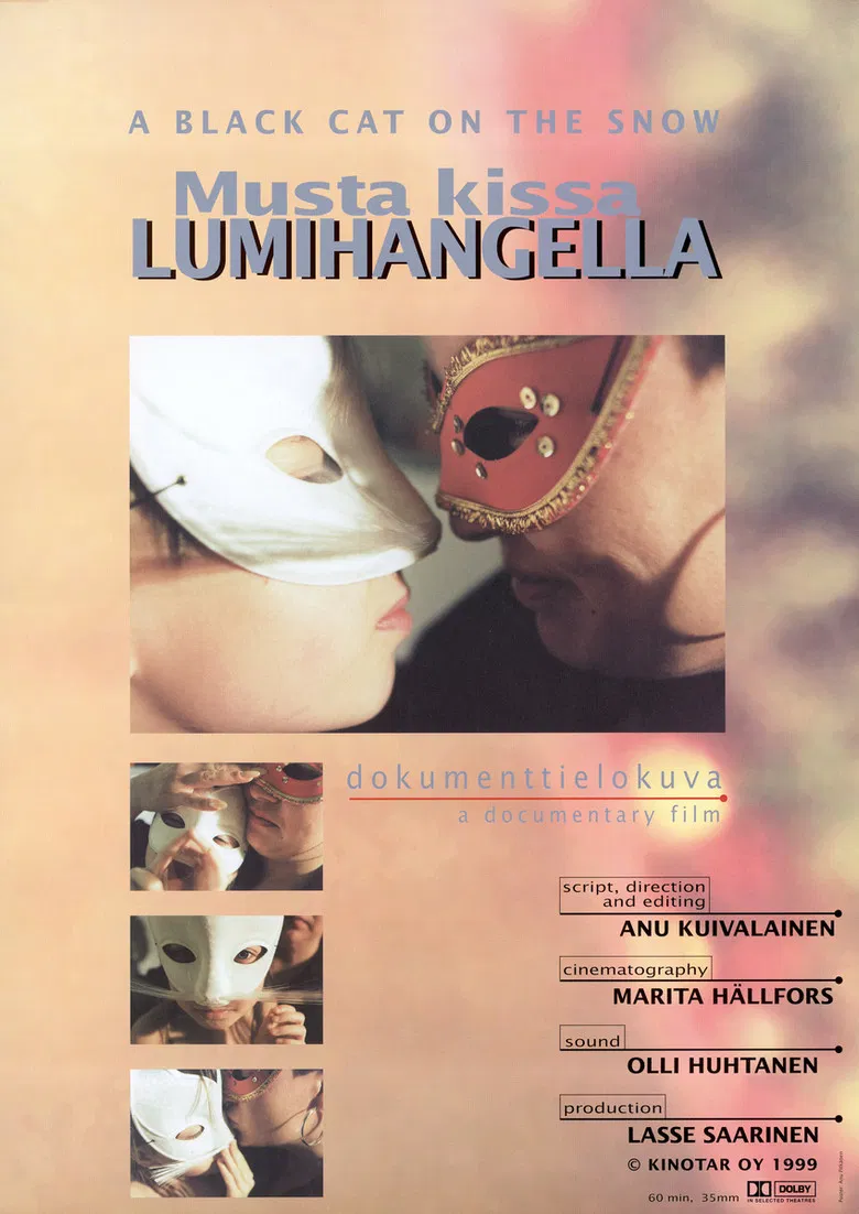 A Black Cat On The Snow poster background