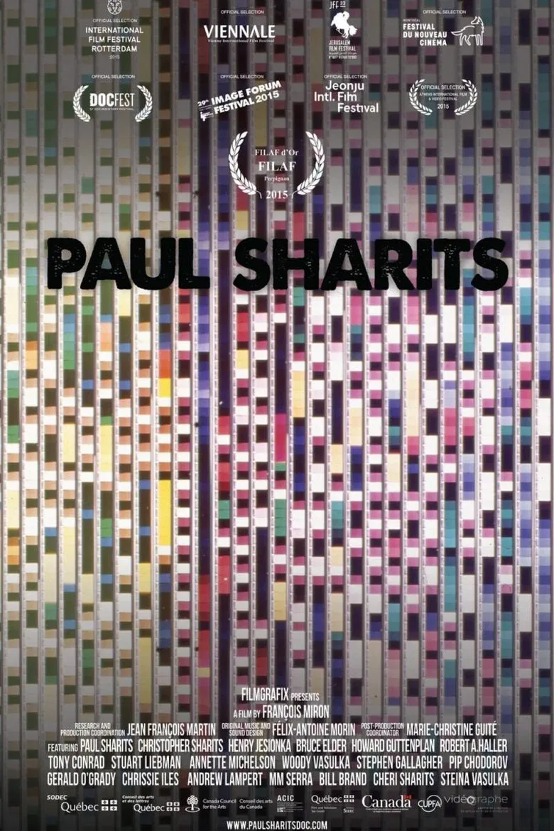 Paul Sharits poster background