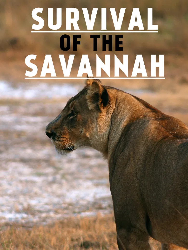 Survival on the Savannah poster background