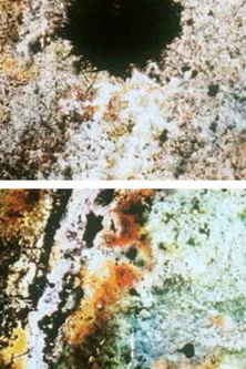 Baby Dream II poster background