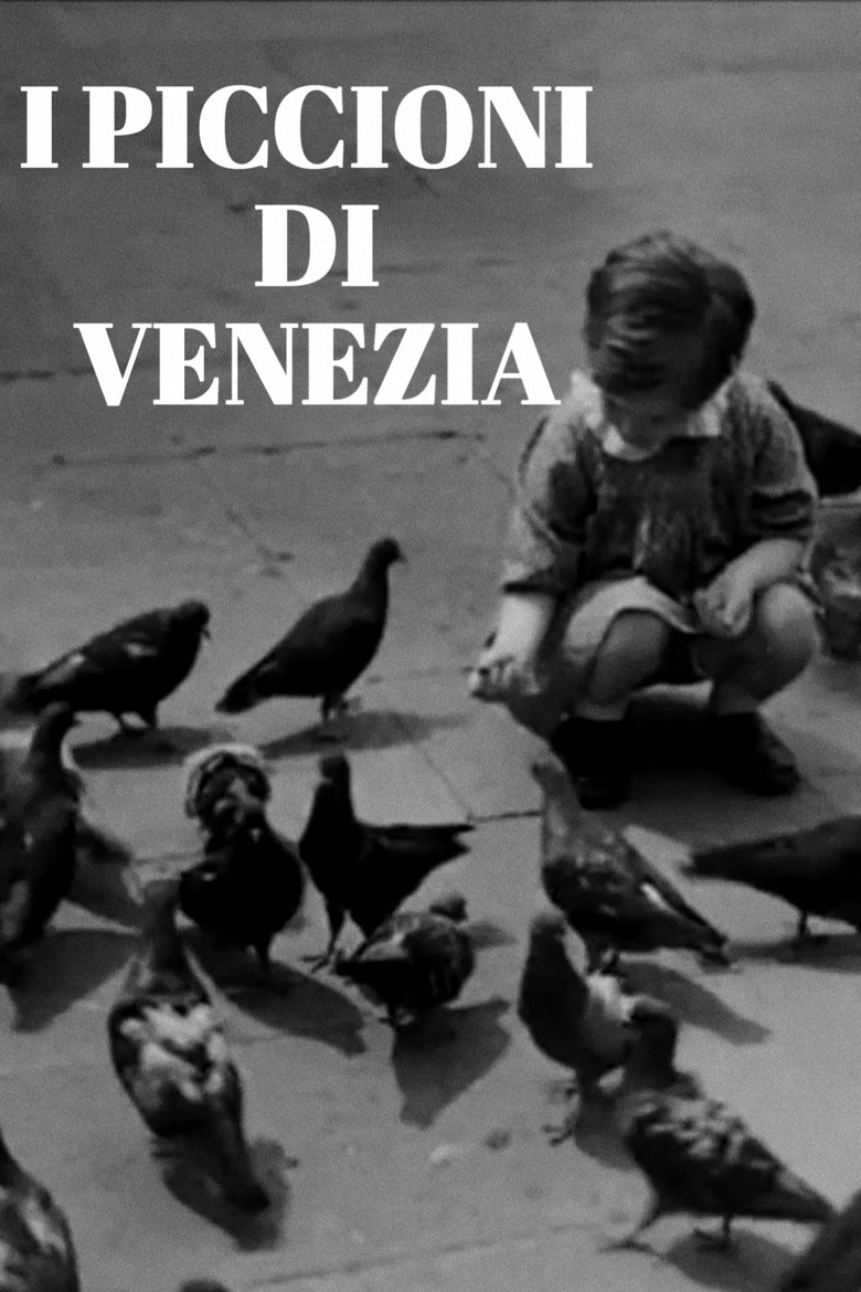I piccioni di Venezia poster background