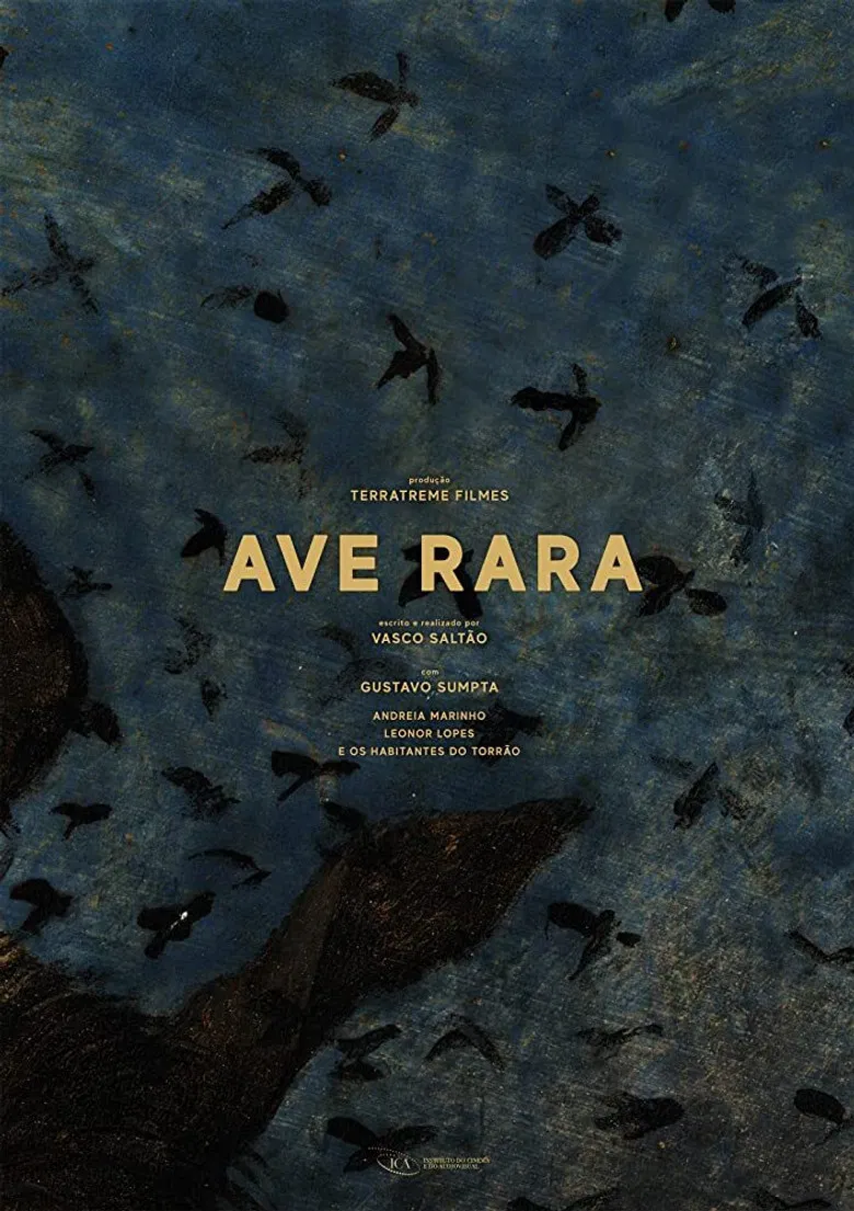 Ave Rara poster background