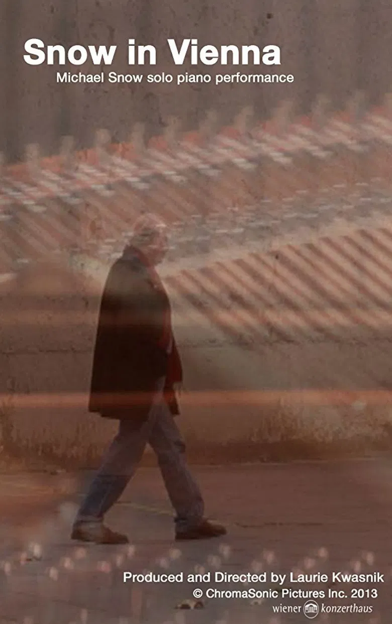 Snow In Vienna poster background