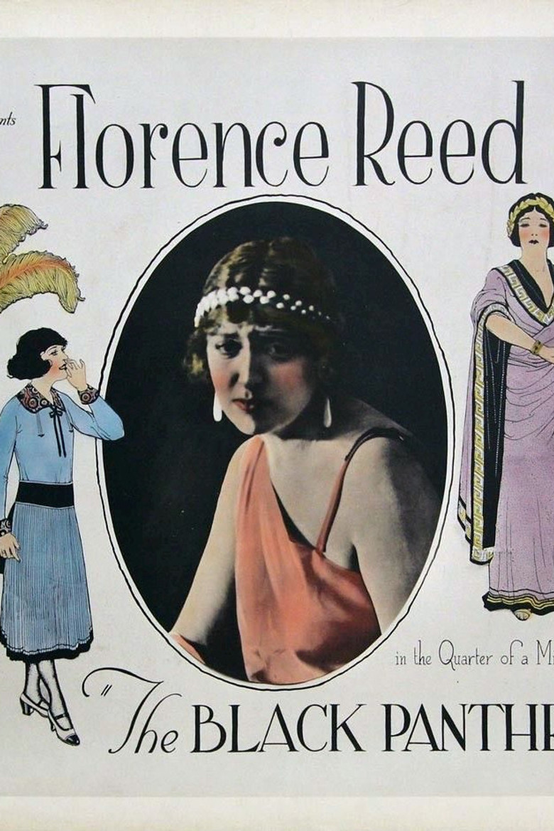 The Black Panther's Cub poster background